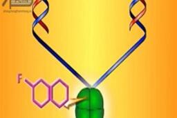 Kháng sinh nhóm Quinilon và Fluoroquinolon dùng toàn thân và dạng hít