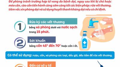 Xử lý vết thương khi bị chó hoặc mèo cắn, cào